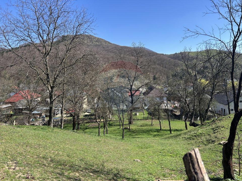 Land 1,106sqm Baia Mare / Strada Firiza