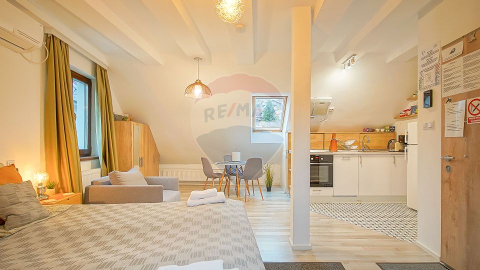 Casa cu 5 studiouri independente, terasa rooftop, vedere montana