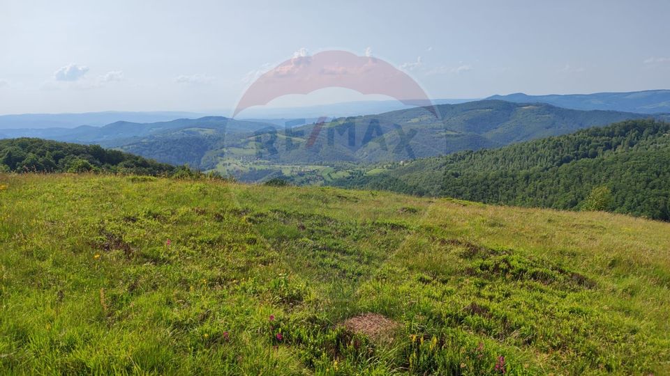 Teren 130000 mp extravilan Munteni - Bulz, Negreni