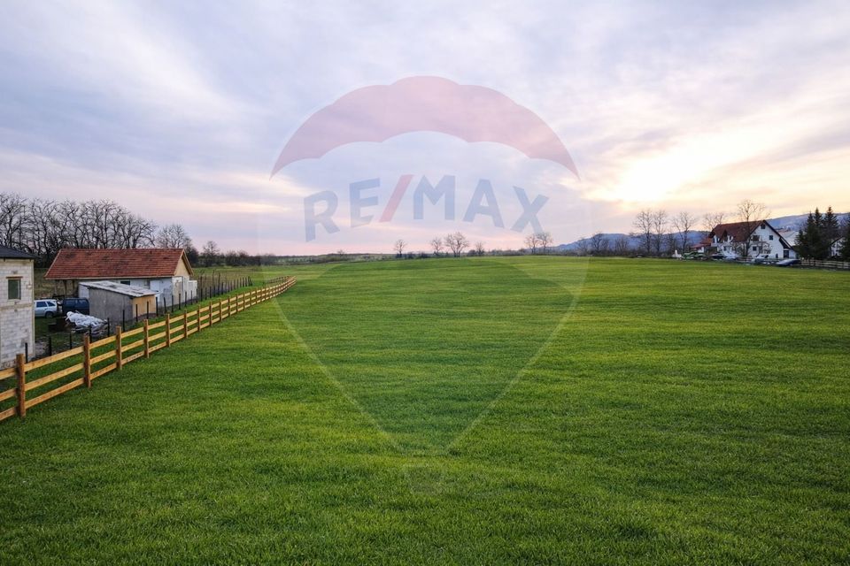 Teren de vanzare 4000 de mp Vintu de jos