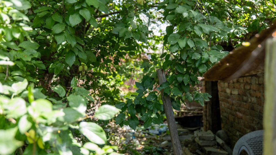 Vanzare casa demolabila si teren in Pantelimon, 150 m de Primarie