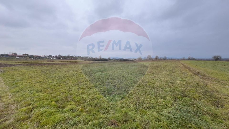 Land 7,606sqm Culcea / Drumul Padurii