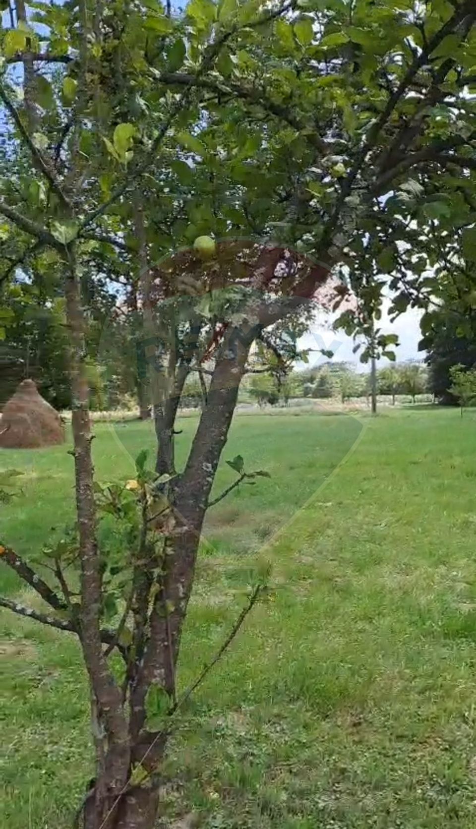 Casă langa parau-sat Brusturi, com. Halmagiu