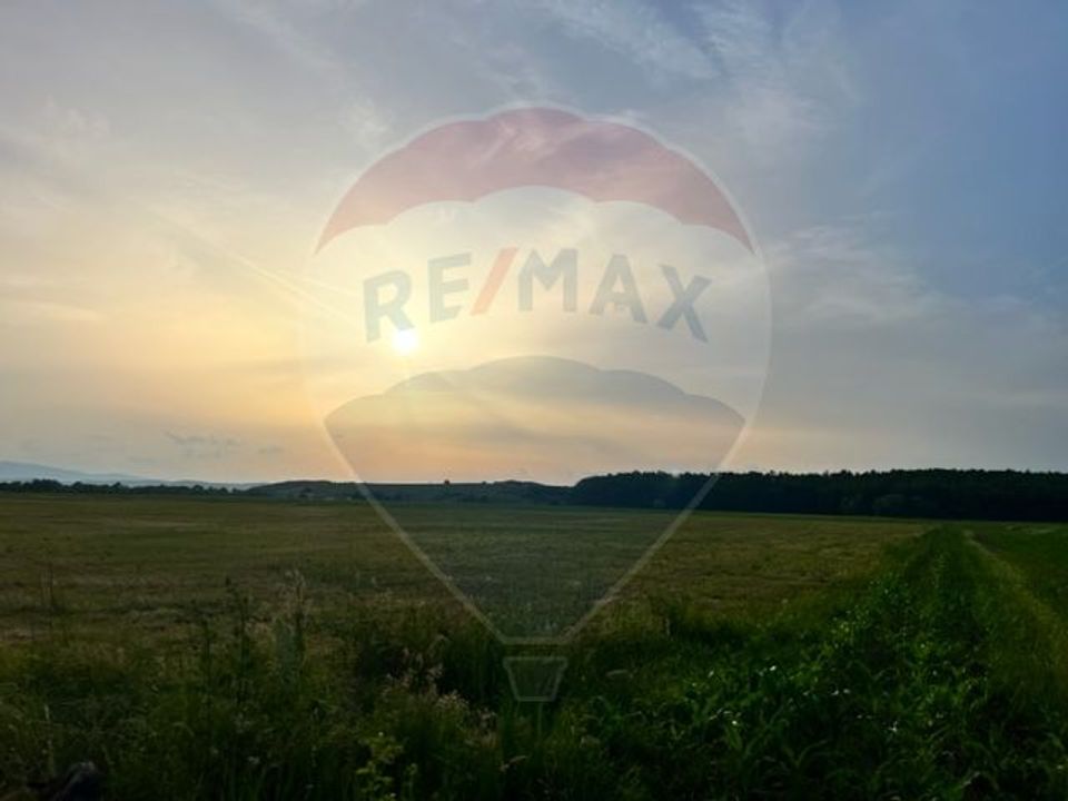 Land 3,700sqm Sibiu / Fundatura Zavoi