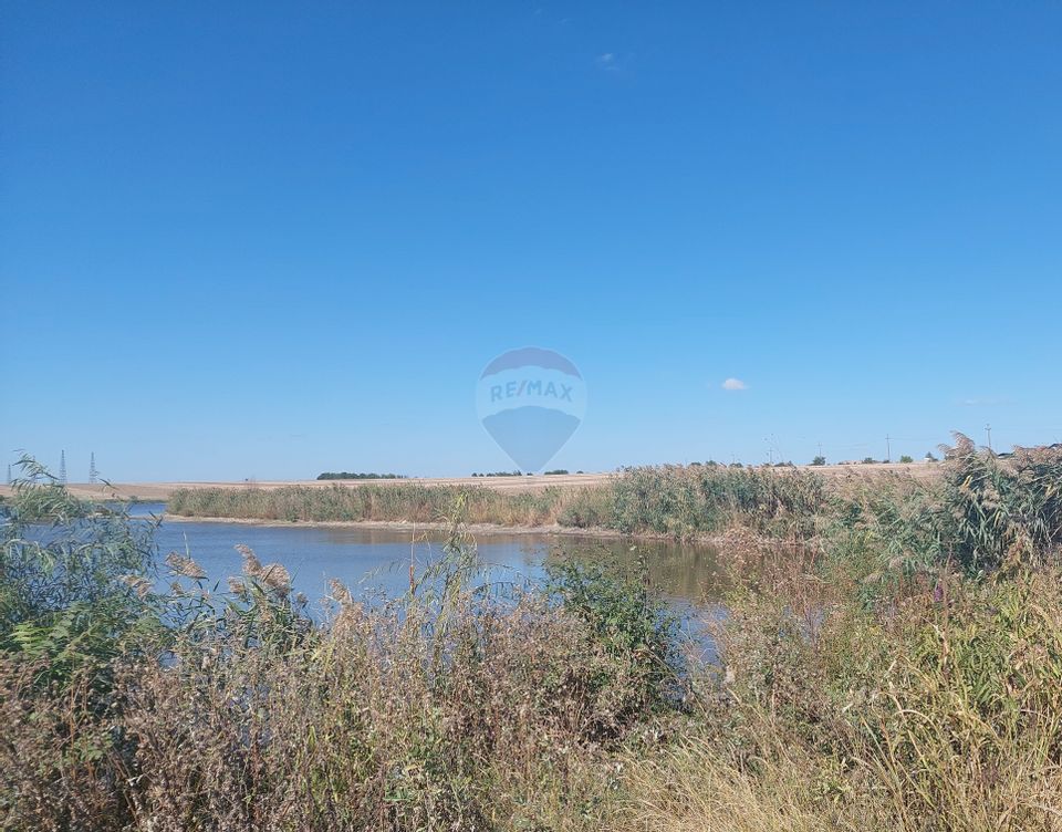 Land 10,032sqm Balotesti / Strada Lacului