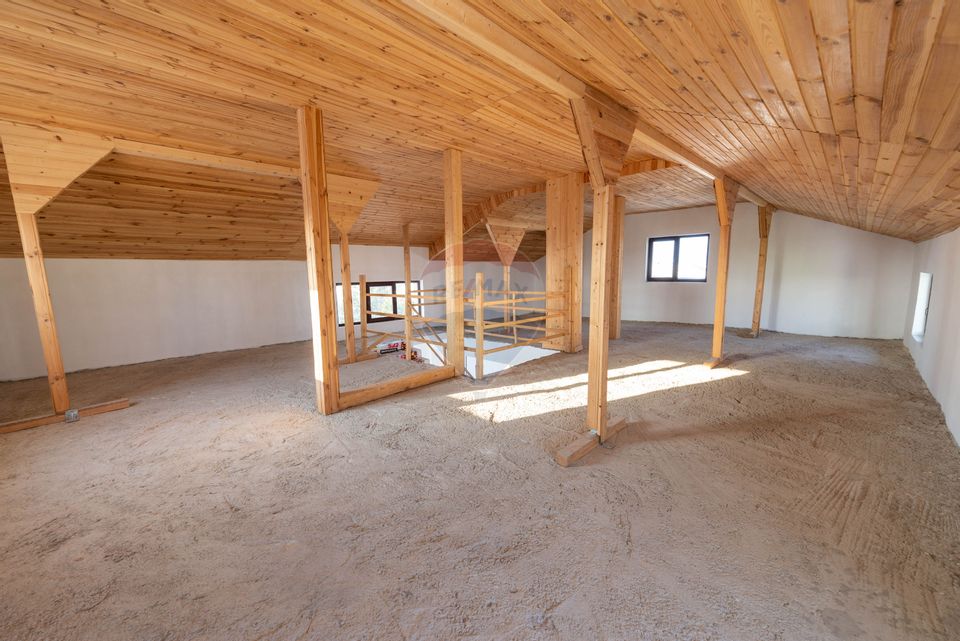 Special villa with 3 levels for sale Pantelimon - Cernica Forest