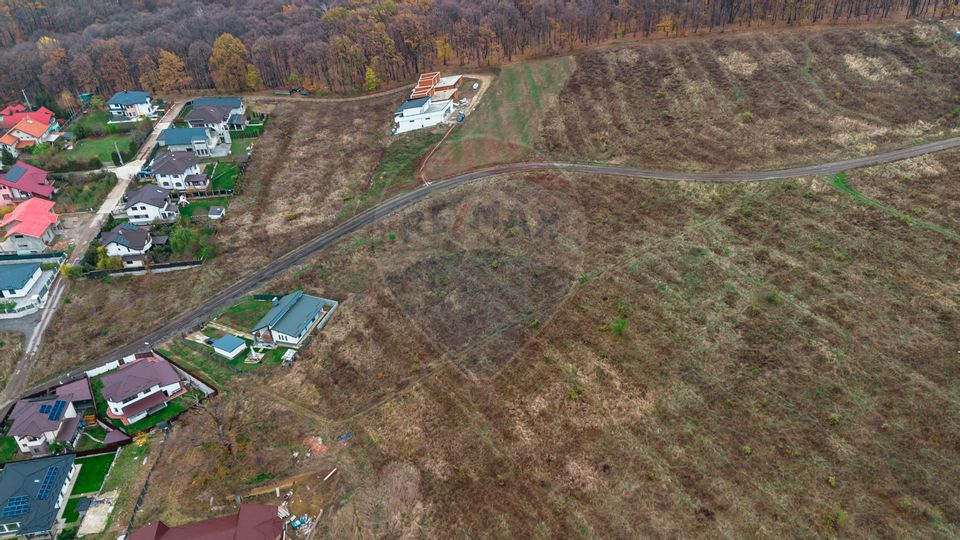 De Vanzare Teren 1,286mp Barnova - Str. Camil Petrescu 0% comision