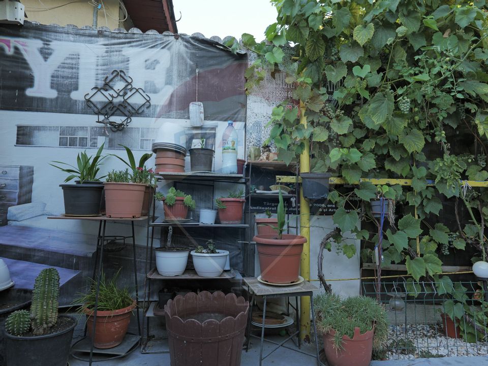 6 room House / Villa for sale