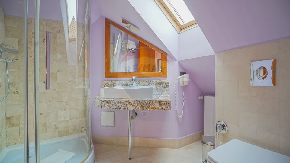 Pensiune cu vechime și prestigiu, Centrul Istoric