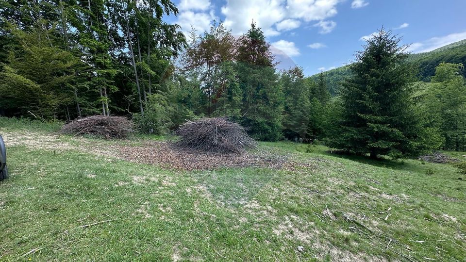 Land 8,500sqm Dalghiu / DJ 103A