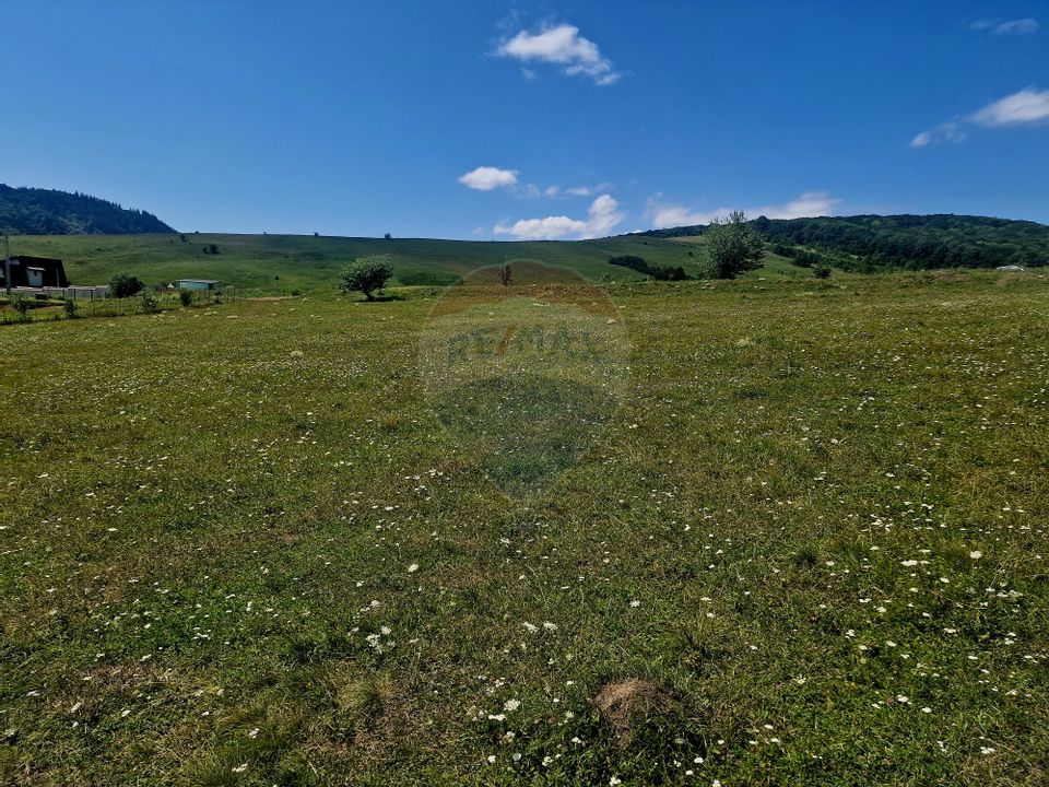 Land 5,000sqm Piatra-Neamt / Strada Punct Petruca