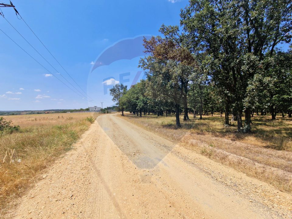 Land 3,700sqm Palilula / None