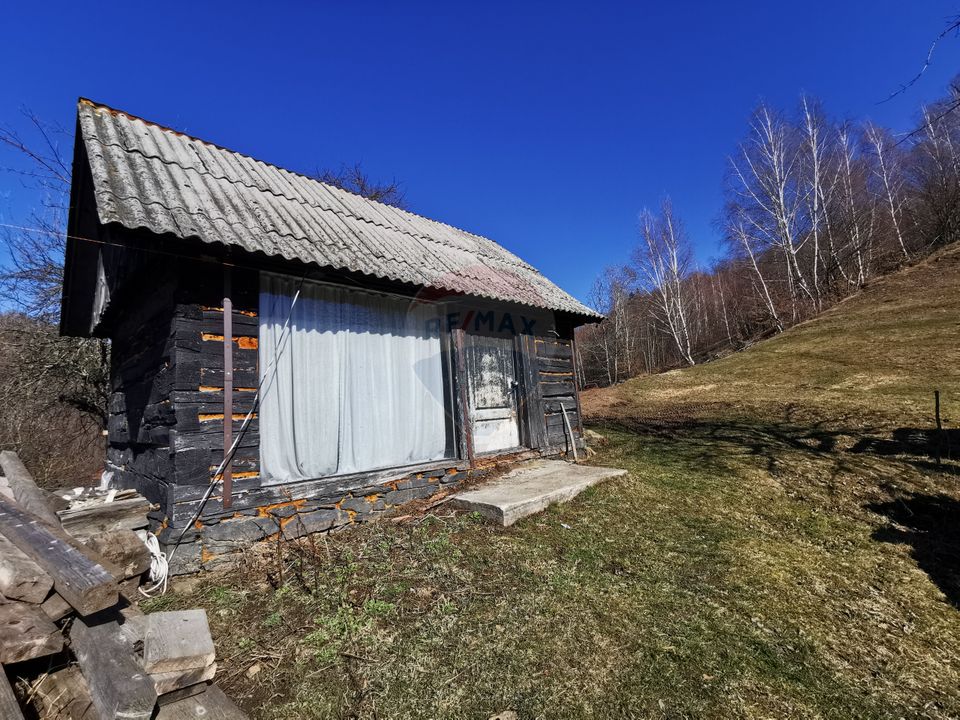 De vânzare teren intravilan 10,100 mp, cu anexă, Munteni