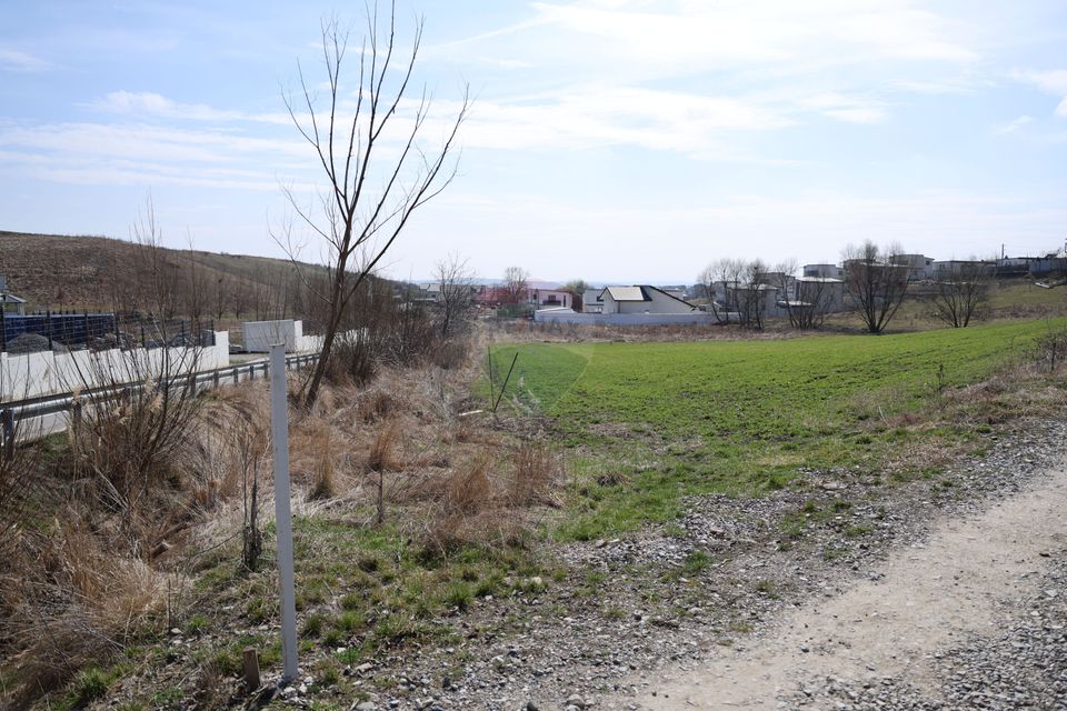 Teren 3,500mp Moara / Strada Pprincipala