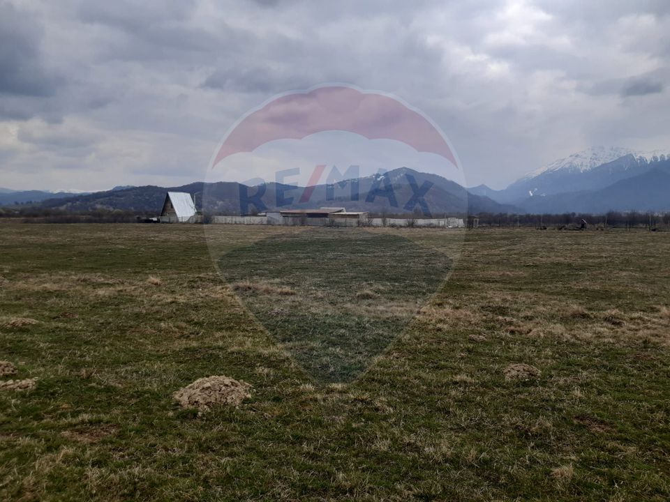 Teren 10,000mp Rasnov / Drumul Panicel