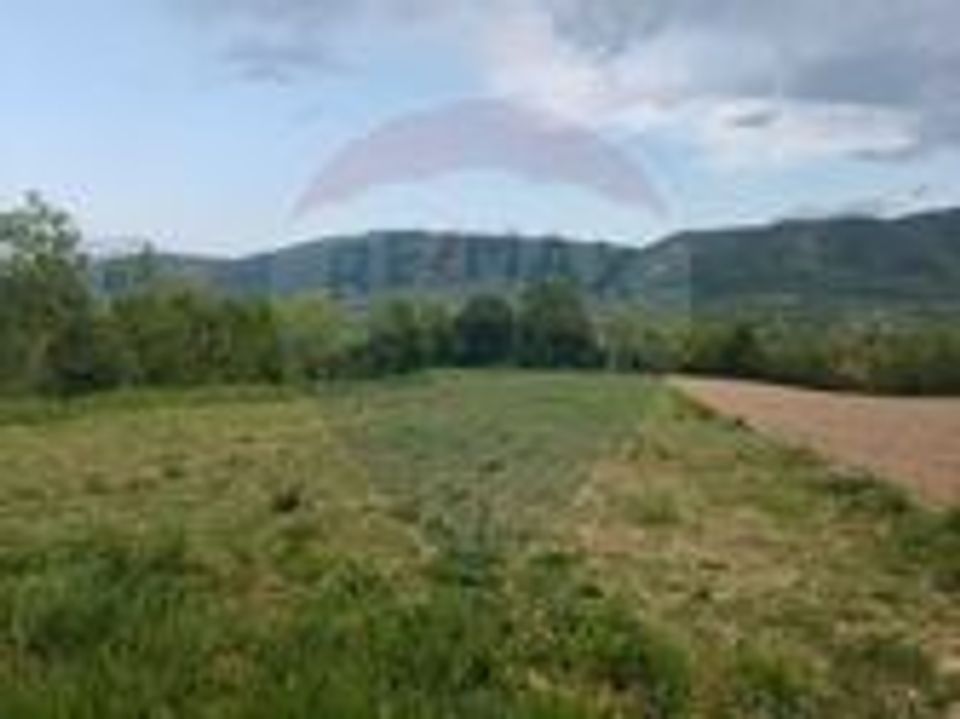 Land 4,348sqm Copalnic / Strada Dambu Fagadaului