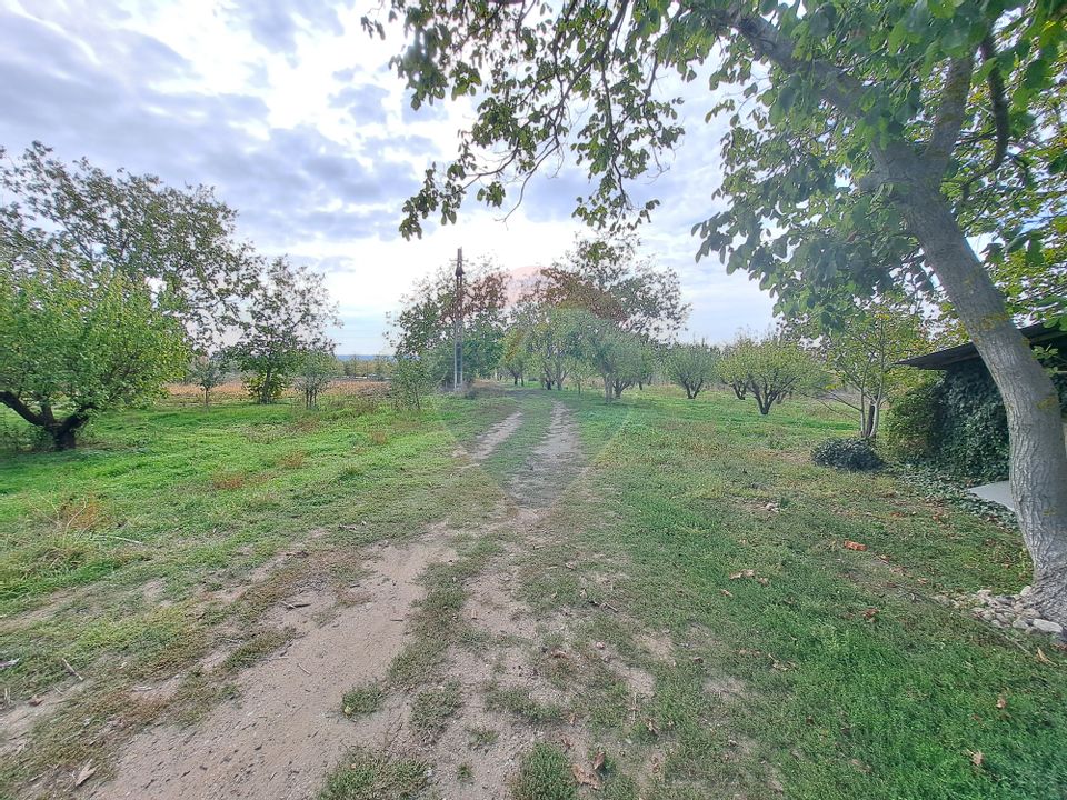 Land 3 ha with front at 3 streets in Calarasi county, DN4 - Soldanu