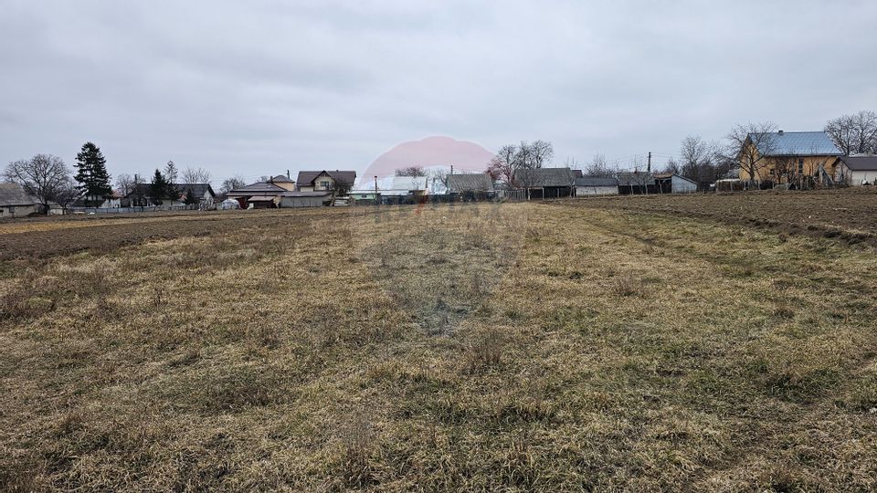 Casă / Vilă cu 12 camere, teren intravilan de 2869mp în Siminicea, SV