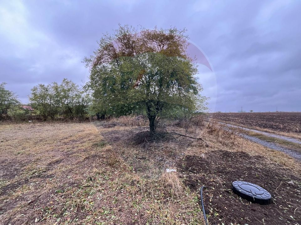 Land 1,700sqm Polcesti / Strada Crângului