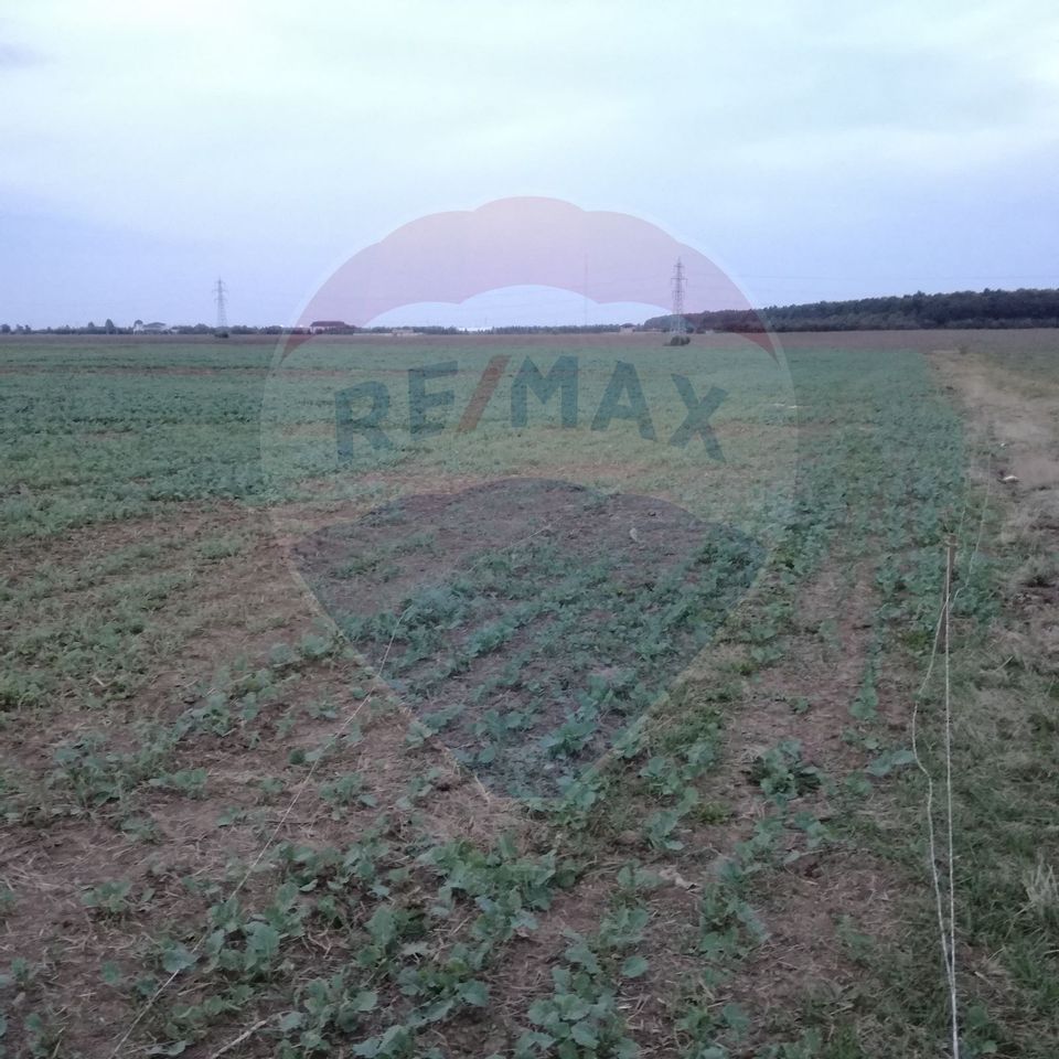 De Vanzare Teren Intravilan Balotesti / Saftica