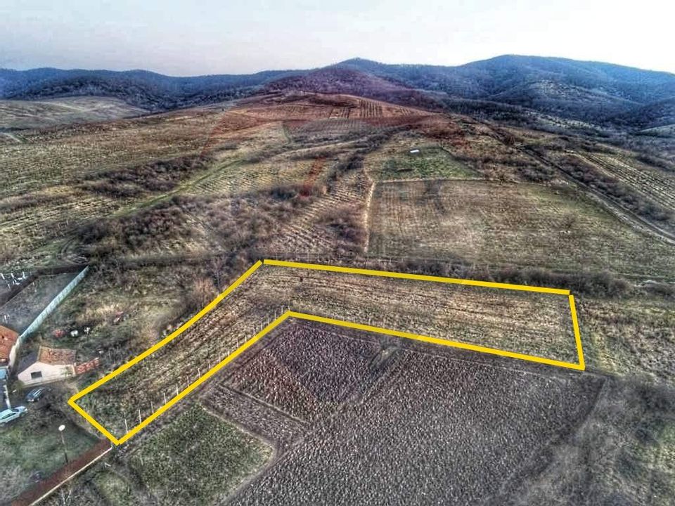 Land 3,659sqm Covasint / Strada Liliacului