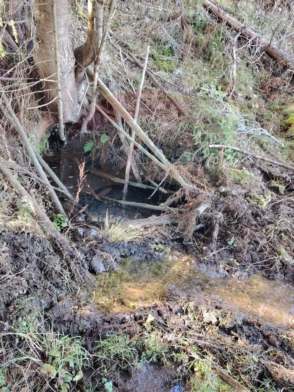 Teren 31,461mp Panaci / Prelungirea Ialovita