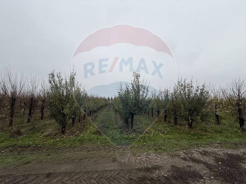 430,000sq.m Special Property for sale