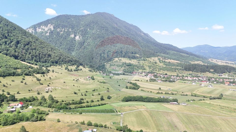 Land 2,432sqm Zarnesti / Strada fara nume