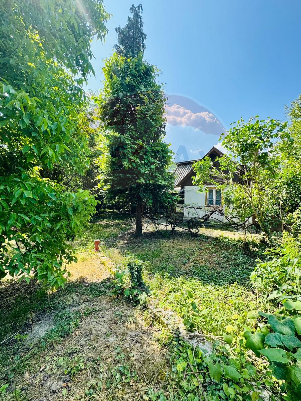 Casă cu 4 camere de vânzare pe str. Campu Negru, Sighet.