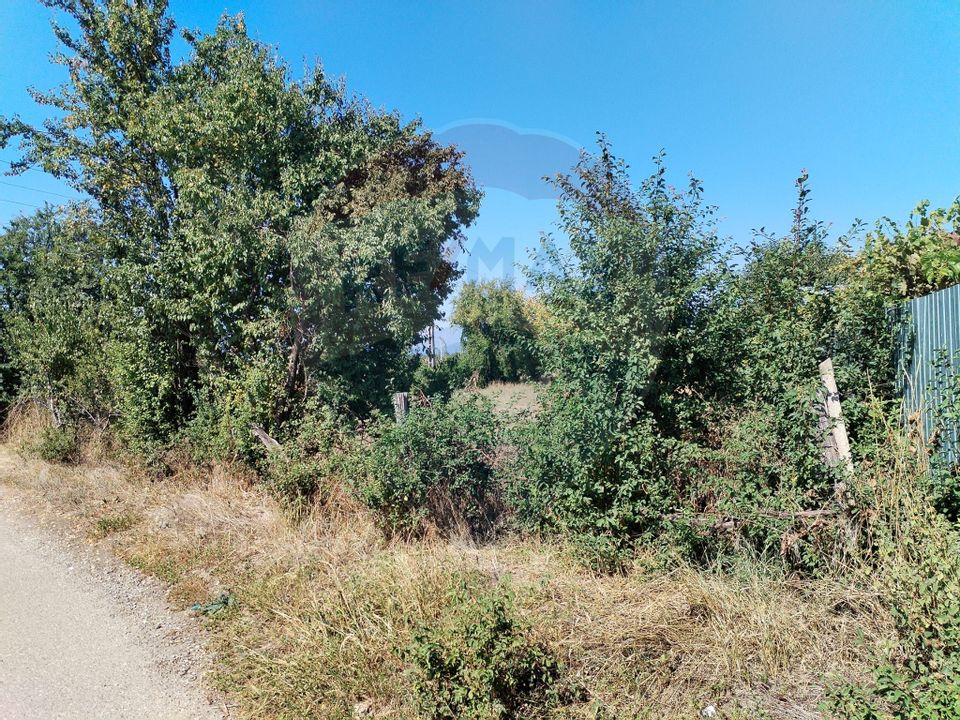 Land 1,035sqm Roznov / Strada Șes