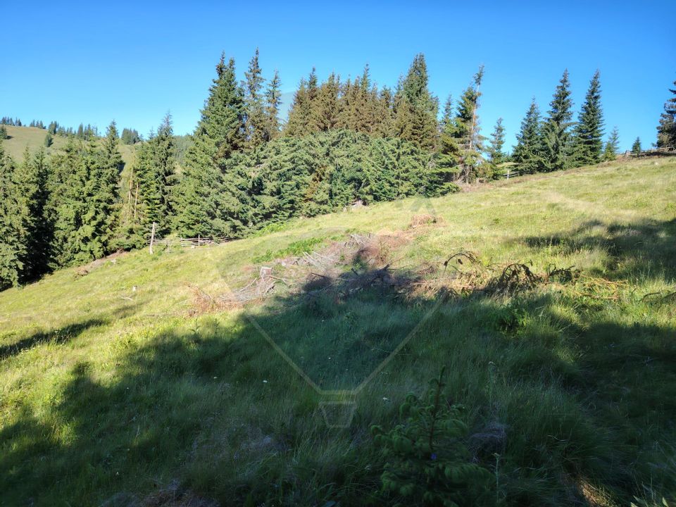 Teren 24,581mp Panaci / Strada Mihăileț