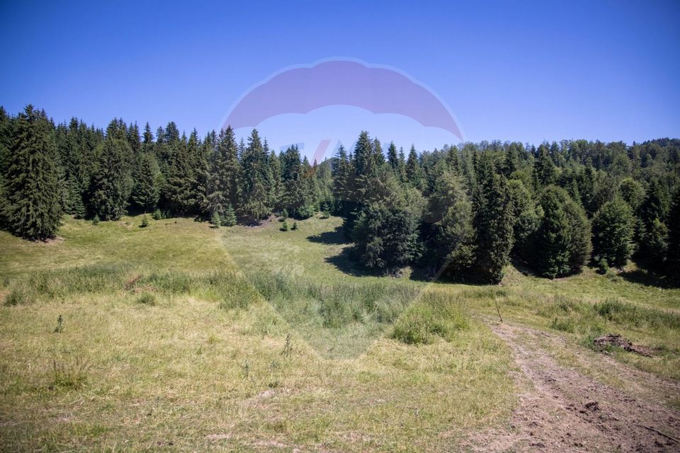 Teren intravilan, 6000mp Dambovicioara / DN 73- dealul sasului!