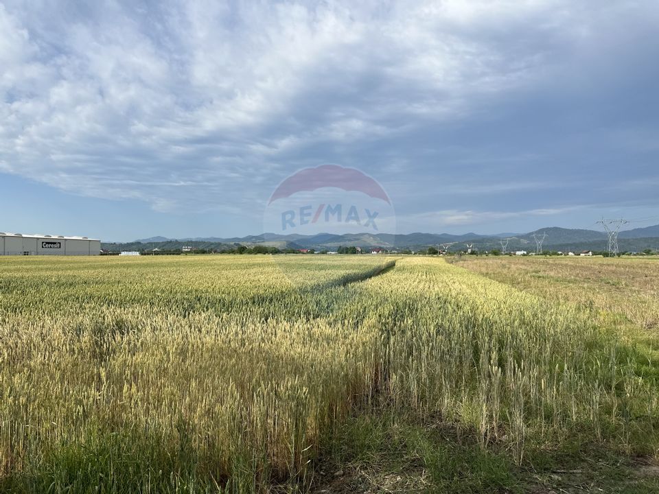 Land 8,800sqm Roznov / Strada Paltinului