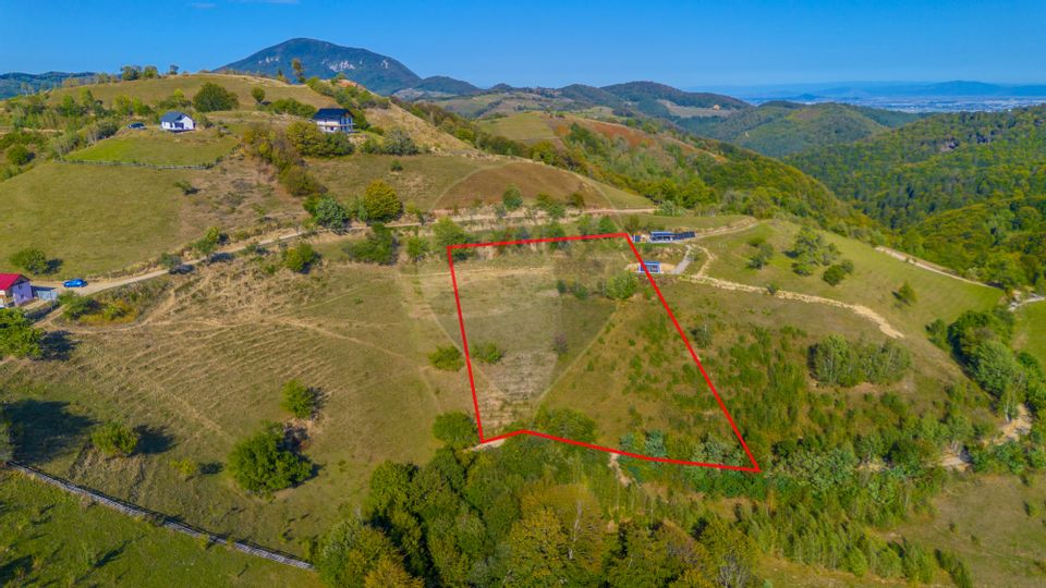 Teren extravilan 6,014mp | Holbav | BRASOV | COMISION 0|