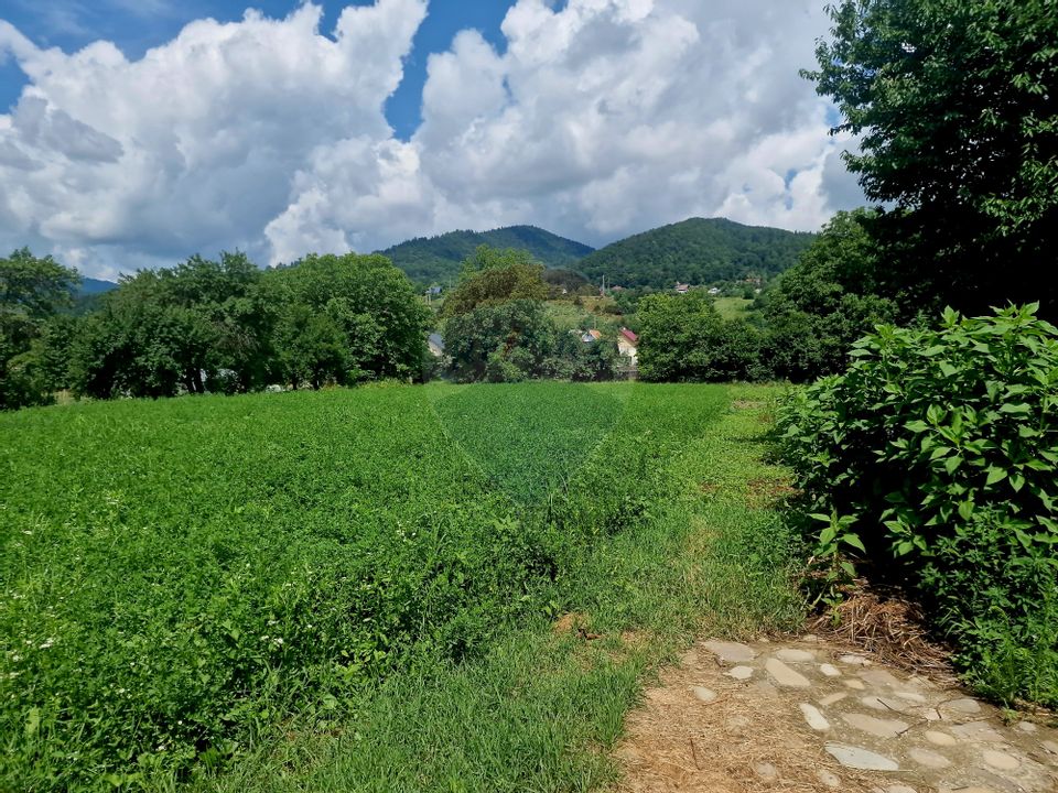 Teren intravilan 1000 mp – Viișoara, utilități