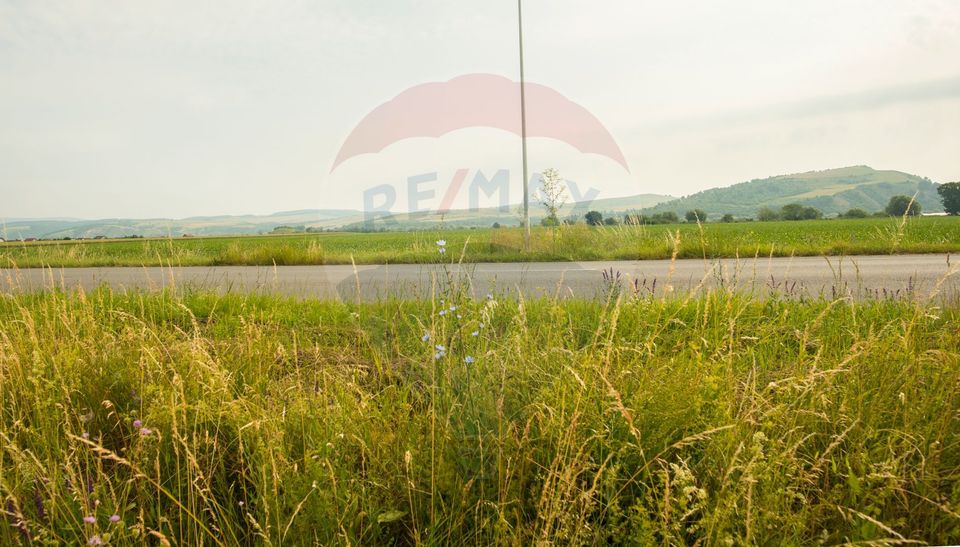 Land 732sqm Bod / Strada Harmanului