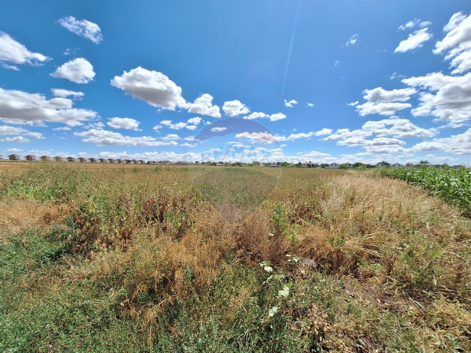 Teren Focsanei / DN sat Focsanei Vadu Pasii