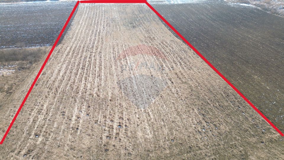 Teren pentru cabana 7.000mp in  Hoghilag, Tărâmul Tuberozelor