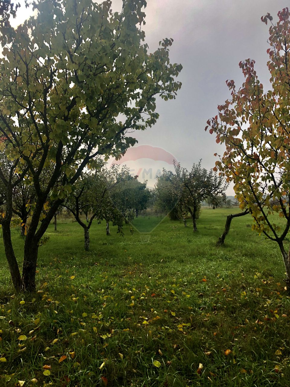 Proprietate speciala Dragomiresti Deal -Teren 15000 mp