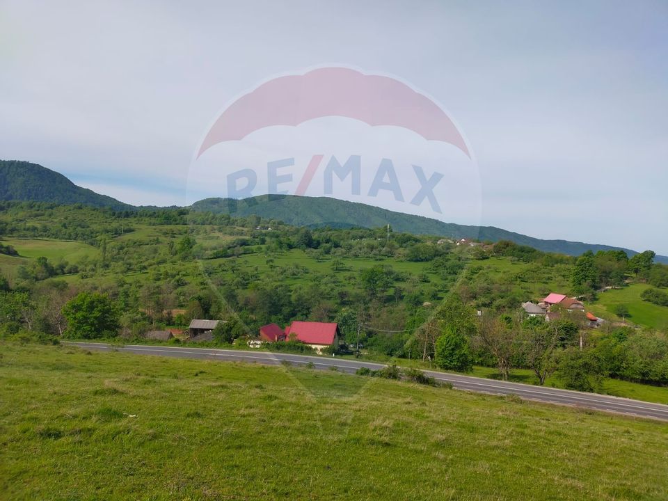 Land 21,500sqm Cernesti / DJ Principala