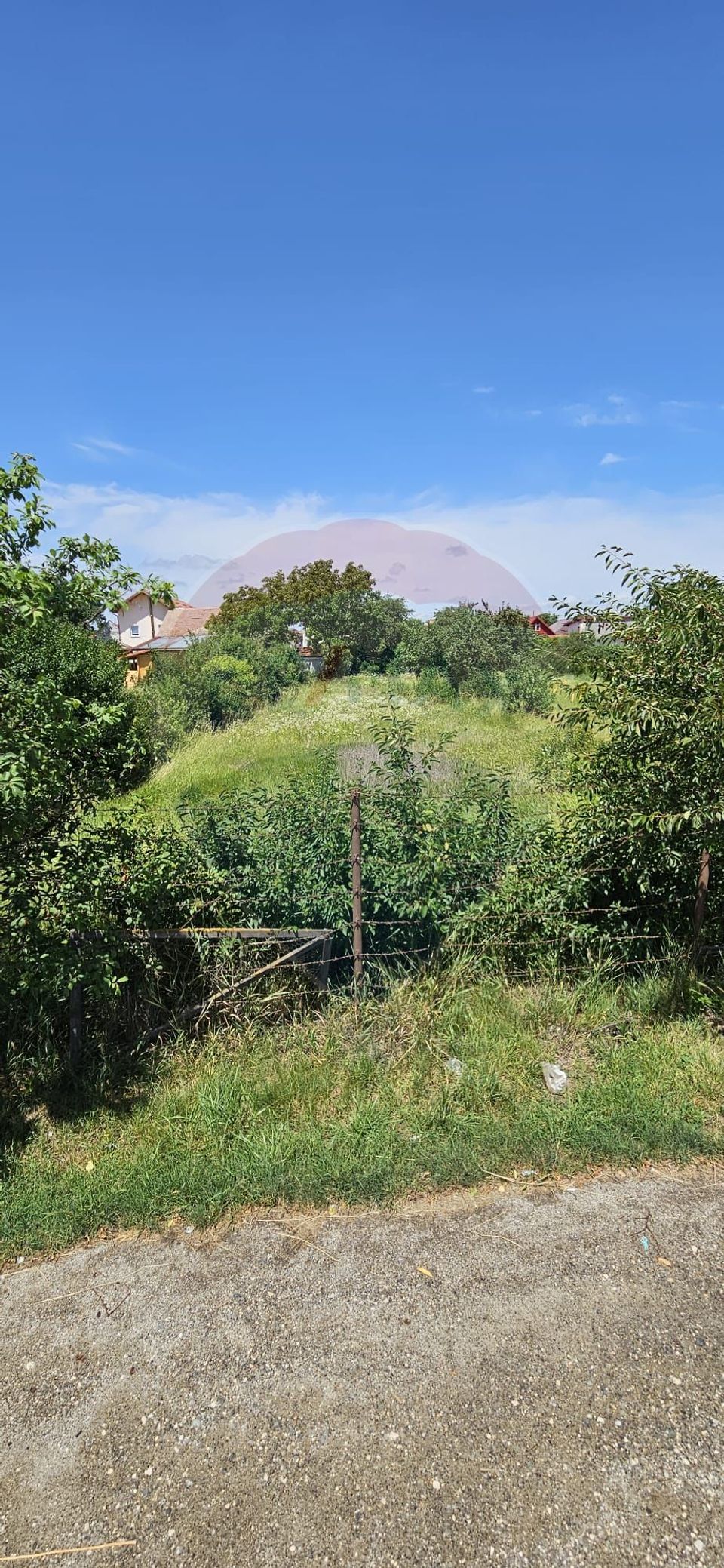 Teren 814mp Ghimbav/Strada BISERICII ROMANE/Certificat Urbanism