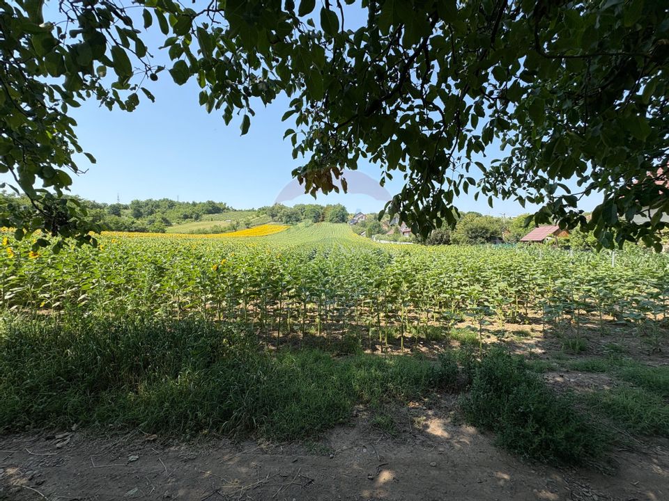 Teren 9,012mp Saucesti / Strada Cireșului
