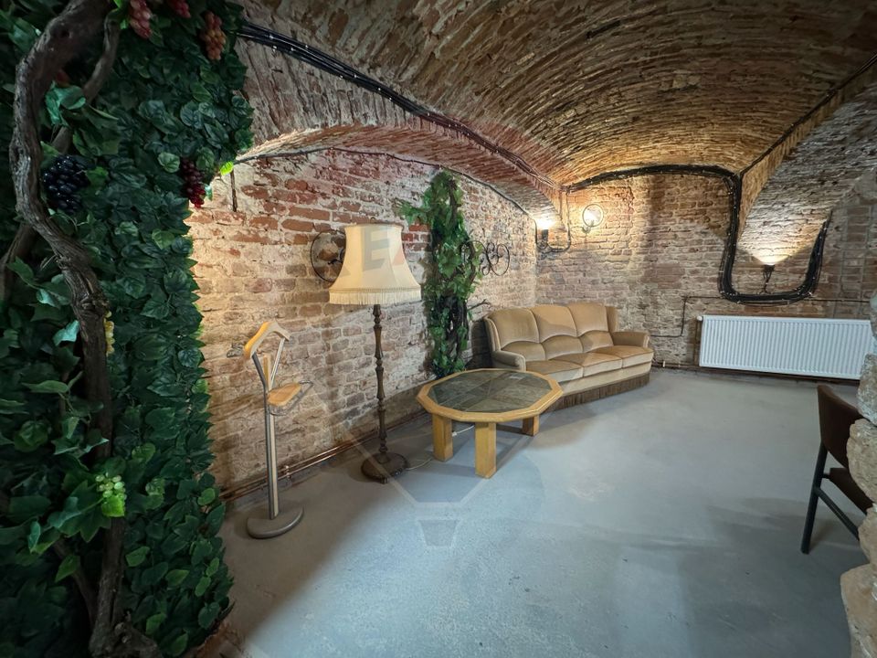 Spațiu de vanzare S.C.229 mp -zona centrala