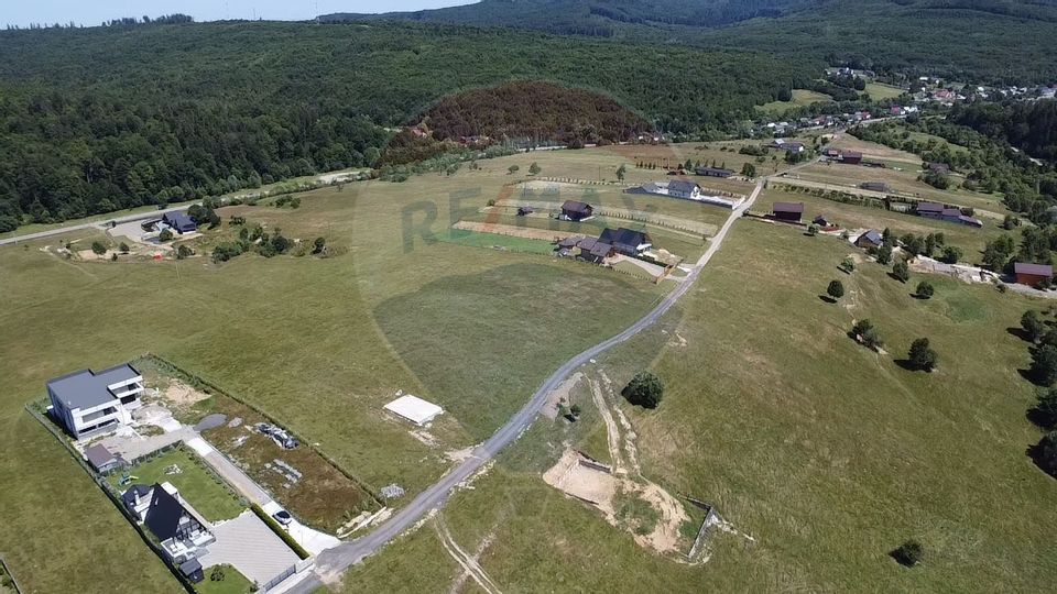 Teren 3,757mp Paltinoasa / Strada principala