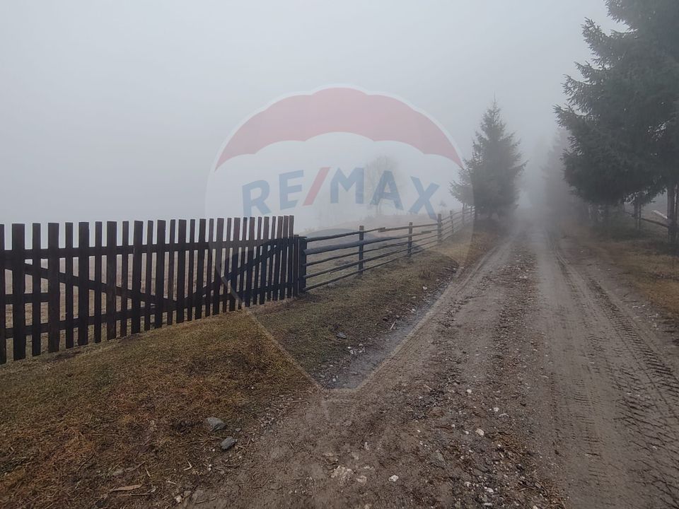 Teren INTRAVILAN 23.238m.p. Dorna-Arini / Cozănești