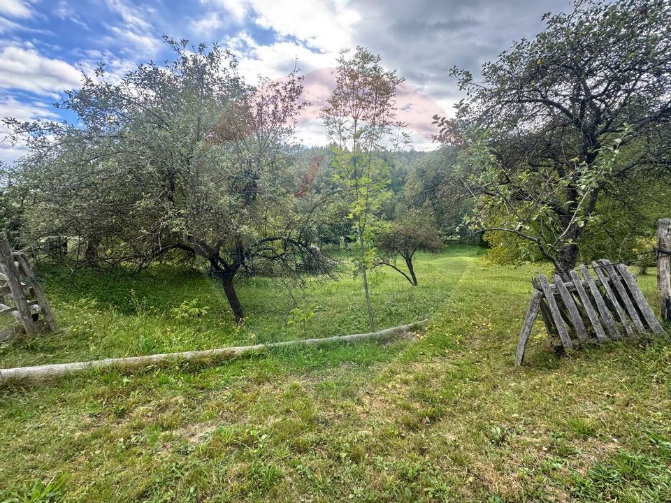 O oportunitate unică în inima naturii — 6.605 mp în Cândești