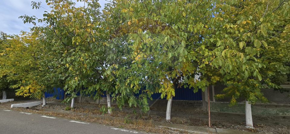 Teren si casă cu teren generos în Socodor