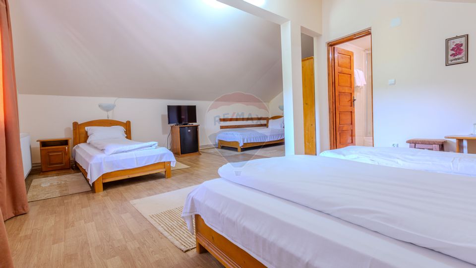 Hotel / Pensiune cu 10 camere de vânzare/Vama Buzaului