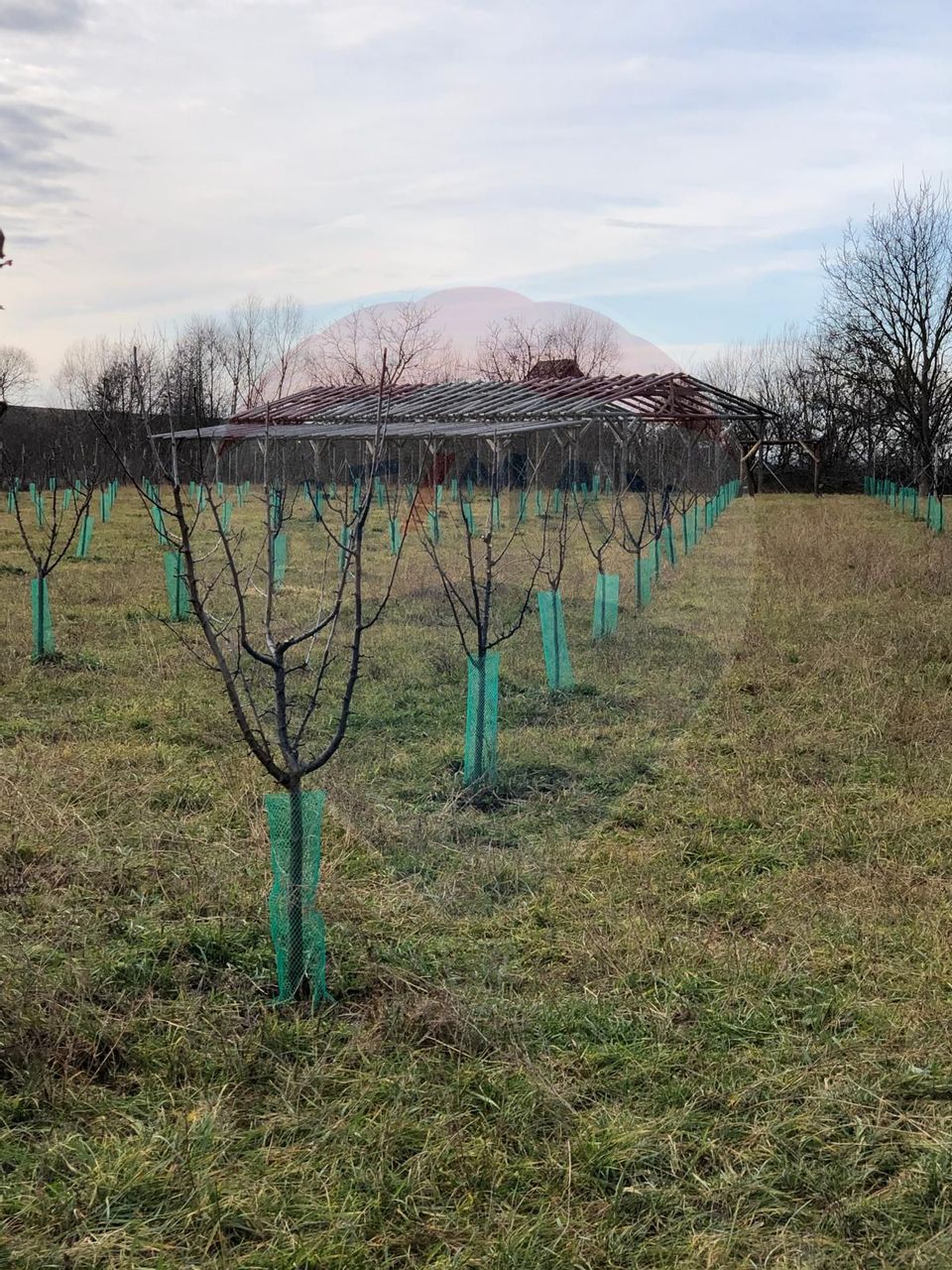 Land 6,000sqm Lugasu de Jos / Strada principala