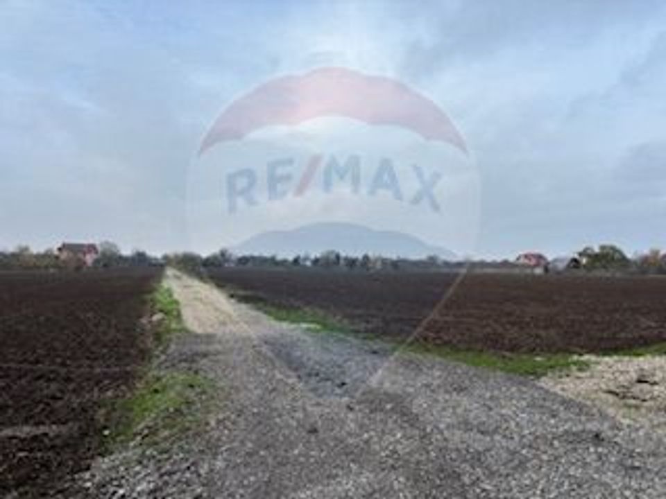 Teren Vladiceasca / Soseaua Vladiceasca 1109 mp Liziera Padurii